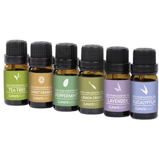 Aromatherapy Scented Oils & Diffusers You'll Love | Wayfair