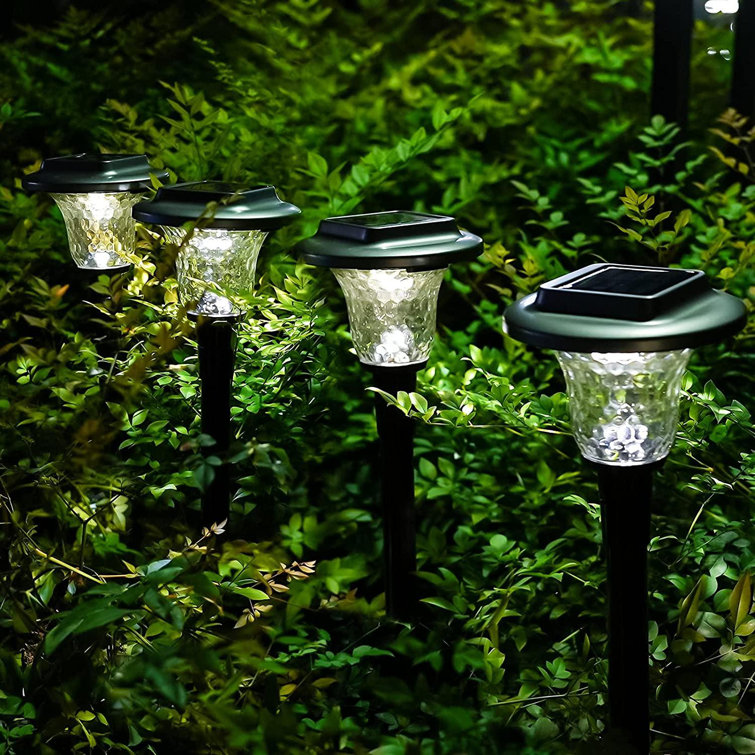 Solar charged garden lights clearance