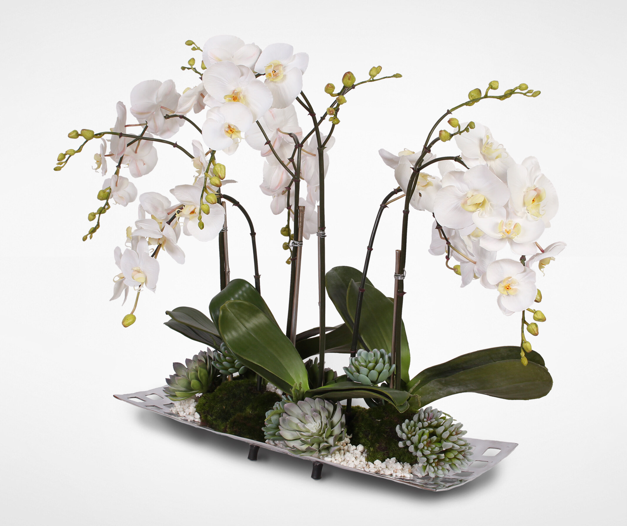 Orchid Flower Arrangements