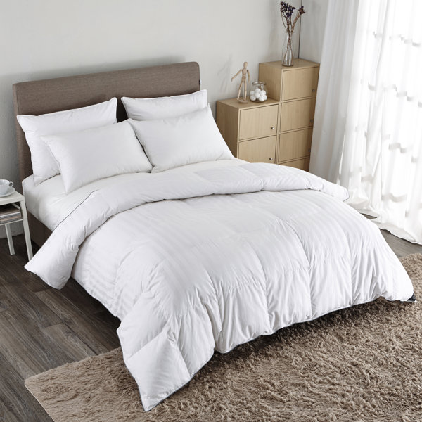 Puredown Lightweight Down Comforter & Reviews Wayfair