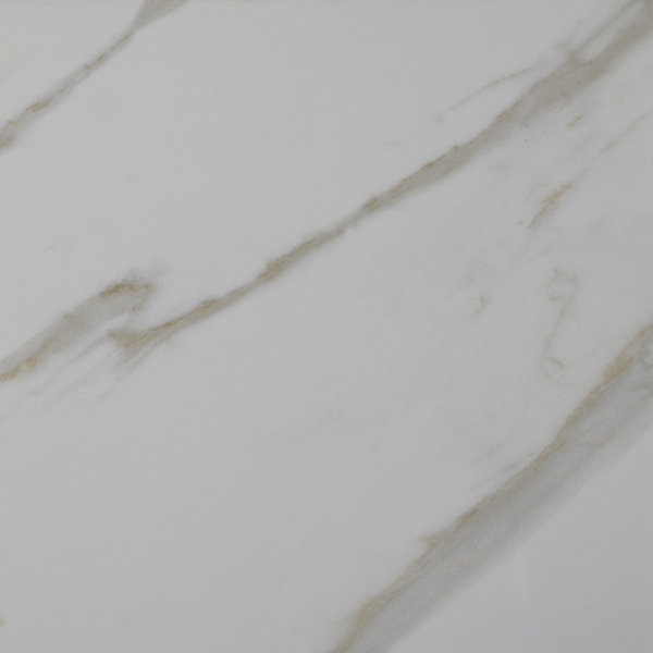 Pietra Calacatta 12 x 12 Porcelain Field Tile in White by MSI