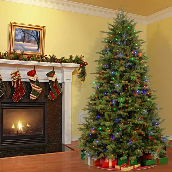 Power Connect Green Fir Artificial Christmas Tree With Colored And White Lights With Stand By August Grove by August Grove