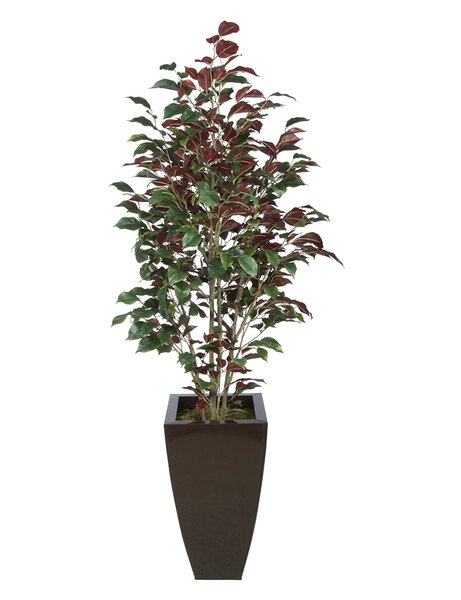 Synthetic Fabric Ficus Tree in Planter by Zipcode Design