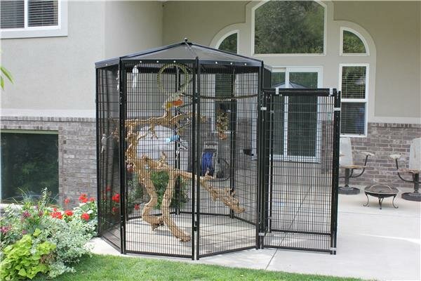 8 Sided Bird Aviary by K9 Kennel