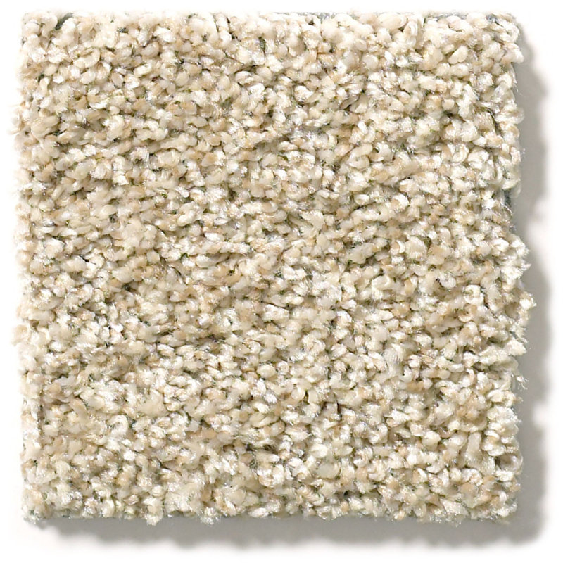 Shaw Floors Midnight Snack 24" x 24" Plush Cut Carpet Tile ...