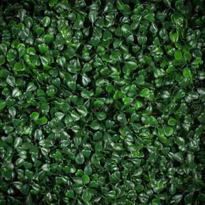 Artificial Ficus Wall Du00e9cor (Set of 4)