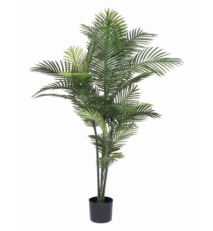 Beachcrest Home UV Robellini Palm Tree in Round Pot & Reviews | Wayfair