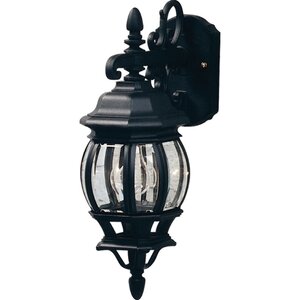 Glyndon 1-Light Outdoor Wall Lantern