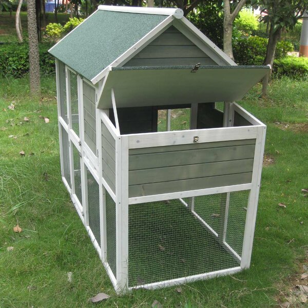 Coops and Feathers™ Superior Hen House with Free Range Door by Innovation Pet