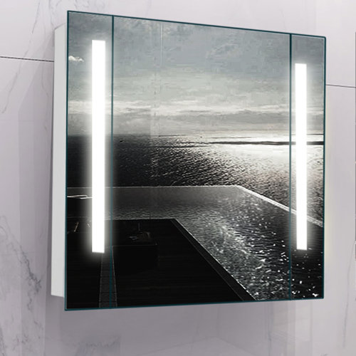 Meadow 60cm x 64cm Surface Mount Mirror Cabinet with LED Lighting Ivy Bronx