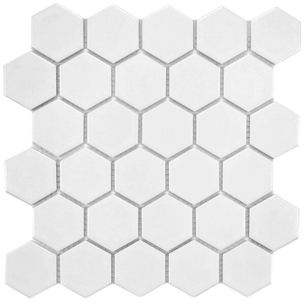 Retro Hexagon 2 x 2 HePorcelain Mosaic Tile in White by EliteTile