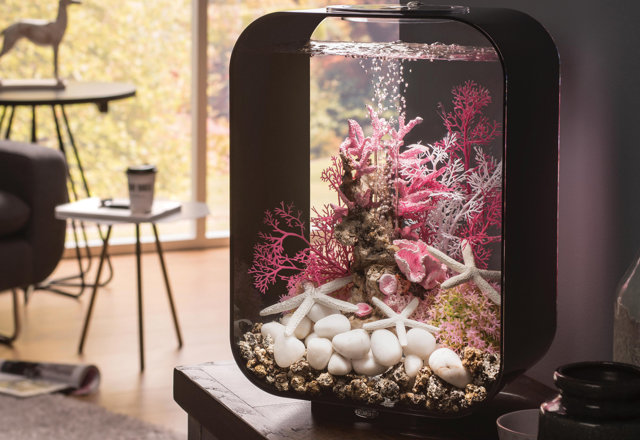 Our Favorite Unique Aquariums