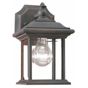 Burdick 1-Light Outdoor Wall Lantern