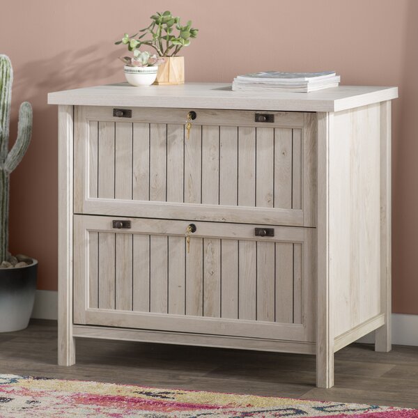 Shelby 2-Drawer Lateral Filing Cabinet by Laurel Foundry Modern Farmhouse