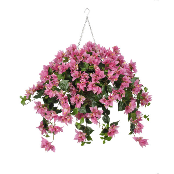 House of Hampton Faux Bougainvillea Trailing Hanging