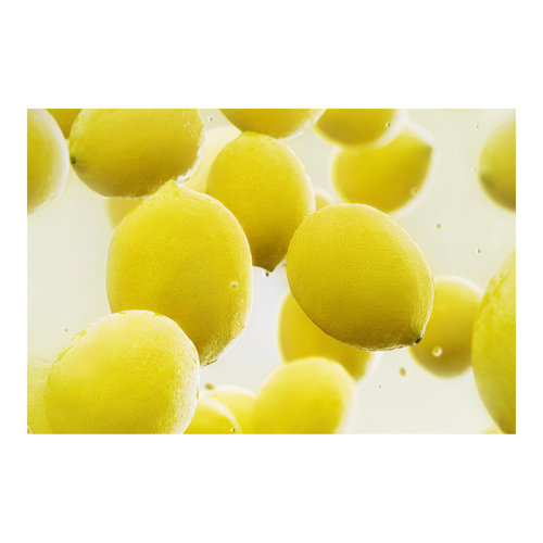 Lemons in Water 2.9m x 4.32m Textured Matte Peel & Stick Wall Mural East Urban Home