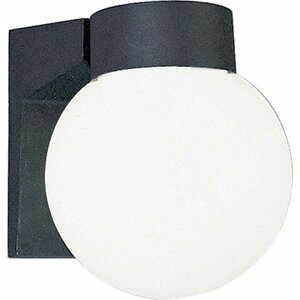 1-Light Outdoor Sconce