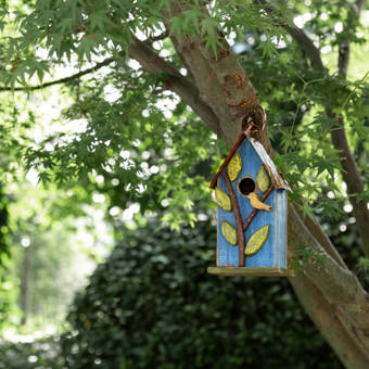 Home Bazaar Hatchling Series Primrose Cottage 9 75 In X 7 In X 7 In Birdhouse Wayfair