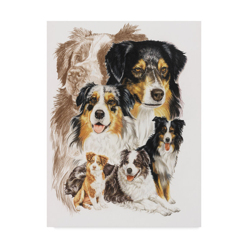 Trademark Art Australian Shepherds Oil Painting Print On Wrapped