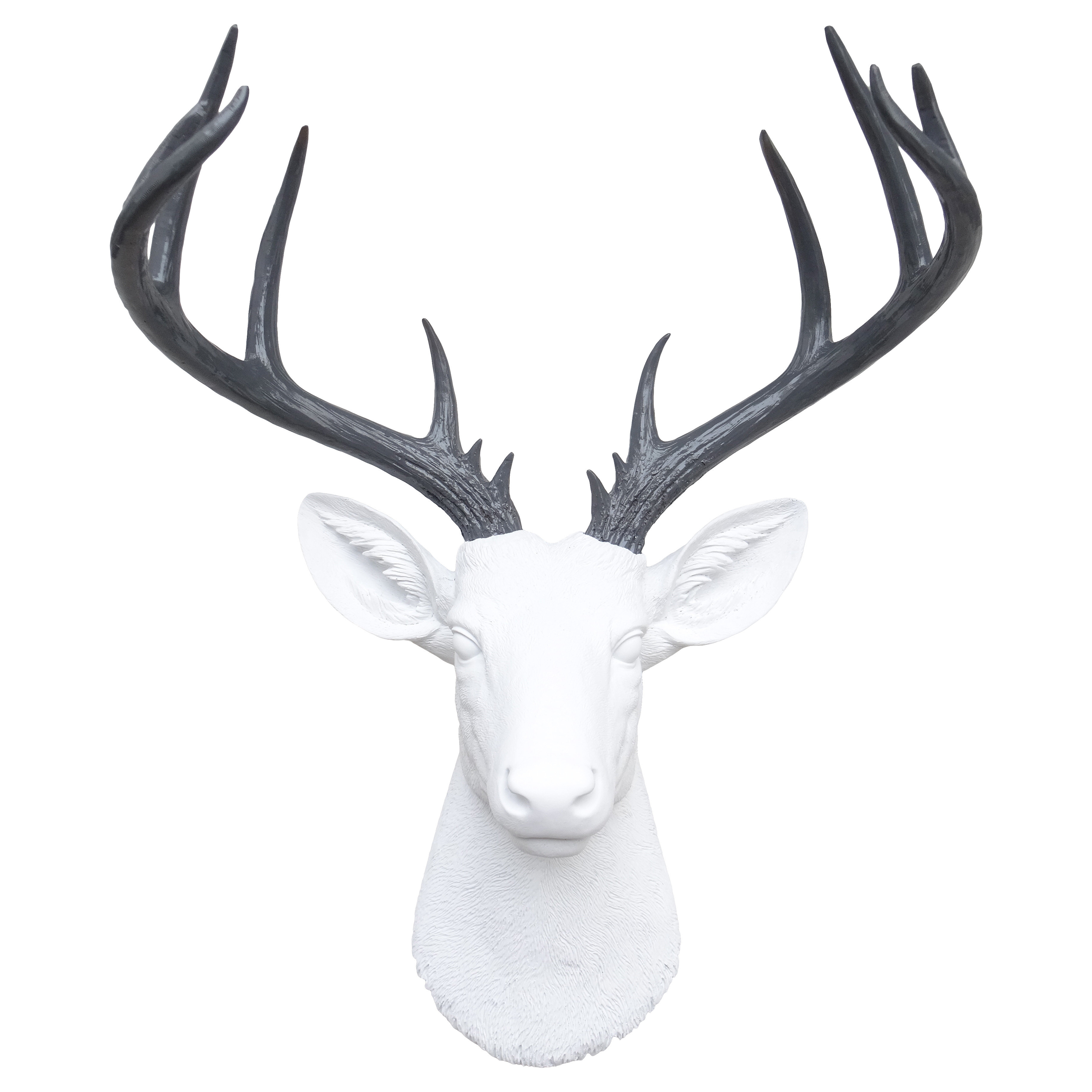 Large Deer Head Faux Taxidermy Wall Décor Reviews Allmodern Large Deer Head Faux Taxidermy Wall
