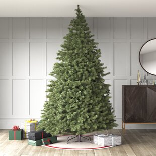 Bethlehem Lights Slim Christmas Tree | Wayfair