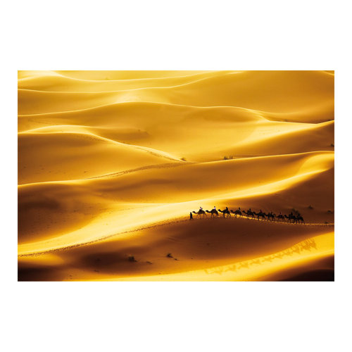 Golden Dunes 3.2m x 4.8m Textured Matt Peel & Stick Wall Mural East Urban Home