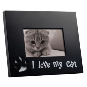 Cat Wall Picture Frame