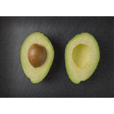 Avocado Black Area Rug East Urban Home Rug Size Rectangle 2 x 3