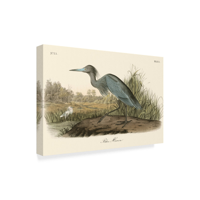 Bay Isle Home Blue Heron Landscape Oil Painting Print On Wrapped