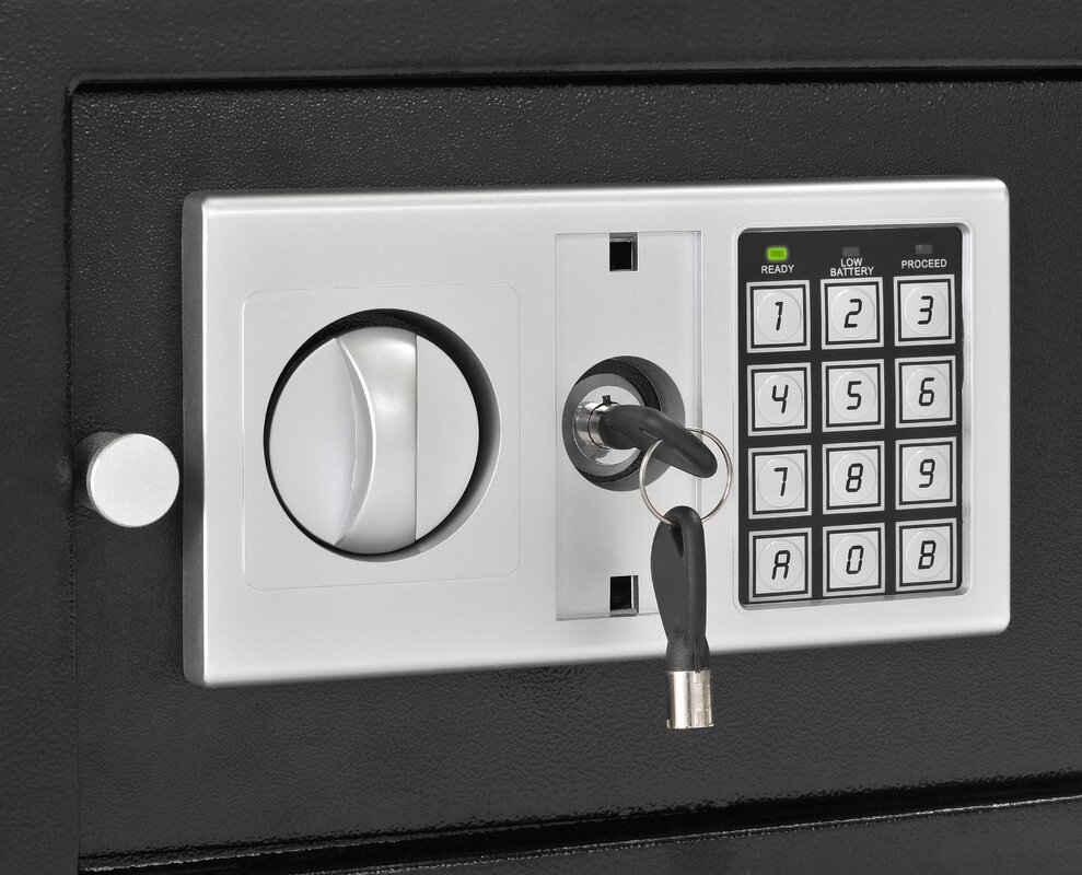 Buddy Products Electronic Lock Home Security Safe & Reviews | Wayfair