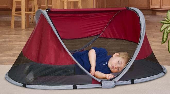 KidCo Peapod Travel Play Tent & Reviews | Wayfair