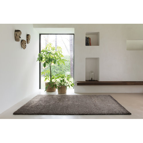Cairns Shaggy Dark Grey Rug Brambly Cottage Rug Size: Rectangle 120 x 170 cm