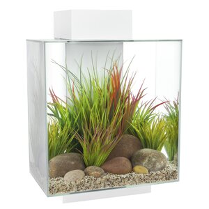 12 Gallon Fluval Edge Aquarium Kit