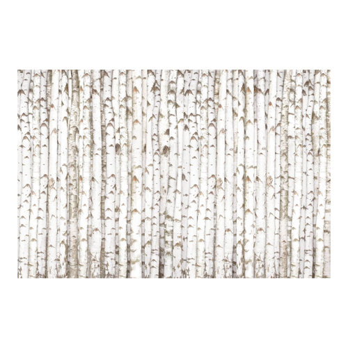 Birch Wall 1.9m x 2.88m Textured Matte Peel & Stick Wall Mural East Urban Home