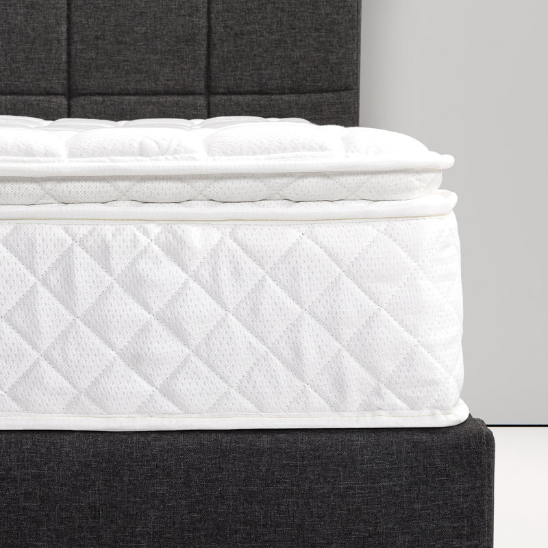 Alwyn Home Haylie Two Sided 10 Extra Firm Pillow Top Mattress