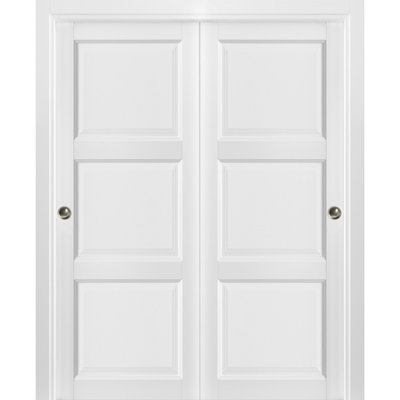 Paneled Wood Lucia Sliding Closet Door SARTODOORS Size 36 x 80