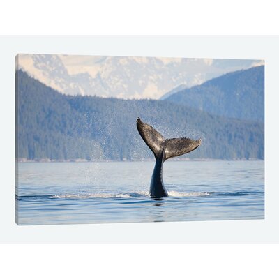 'Humpback Whale Calf's Tail, Icy Strait, Alaska, USA' Photographic Print on Canvas East Urban Home Size: 12