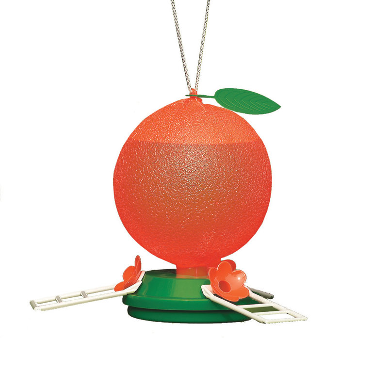 Audubon Oriole Wild Hummingbird Feeder