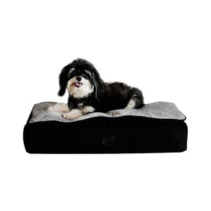 Feather Top Ortho Dog Bed