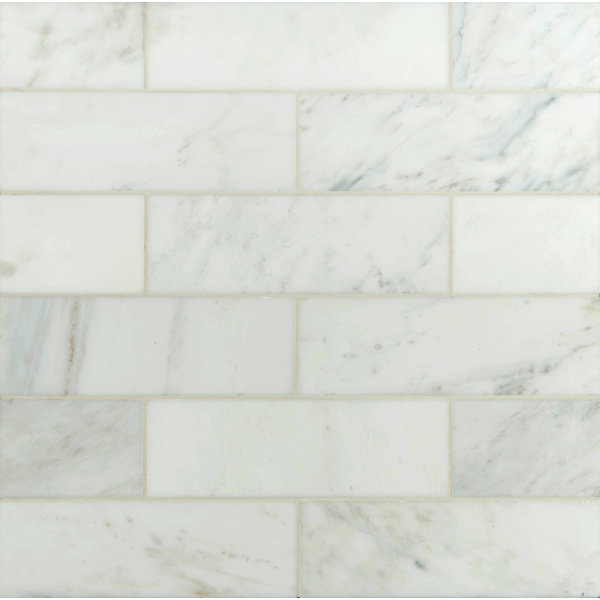 4 x 12 Polished Marble Tile in Carrara White by MSI