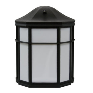 Best 1-Light Outdoor Flush mount By Efficient Lighting Outdoor Lighting 1-Light Outdoor Flush mount By Efficient Lighting Outdoor Lighting