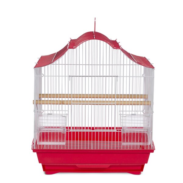 Tanya Pet Crown Top Cockatiel Bird Cage with Removable Tray by Tucker Murphy Pet