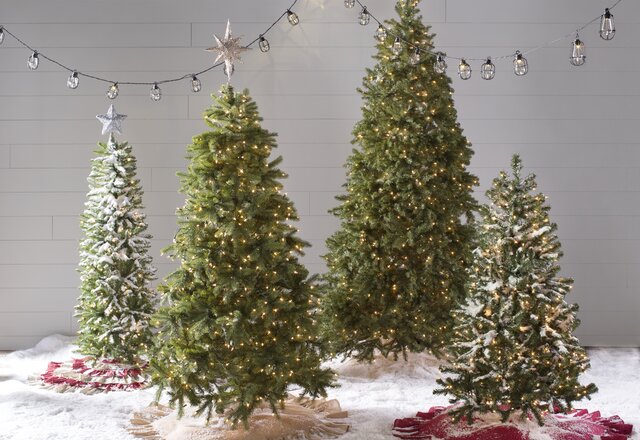 Christmas Tree Sale