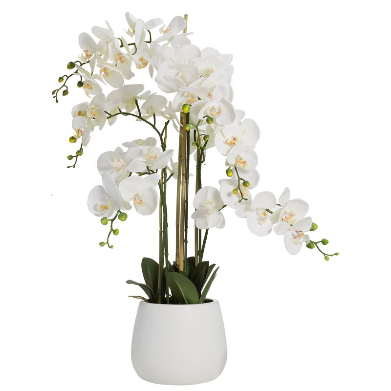 The Seasonal Aisle Artificial Orchid Floral Arrangement in Pot ...