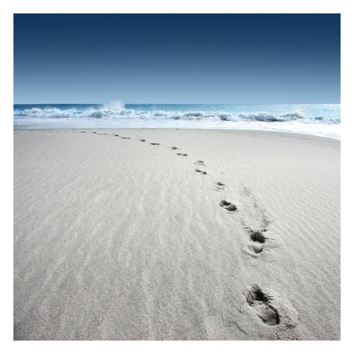 Footsteps in the Sand 3.36m x 3.36m Textured Matte Peel & Stick Wall Mural East Urban Home