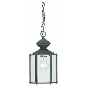 Raven 1-Light Outdoor Hanging Lantern
