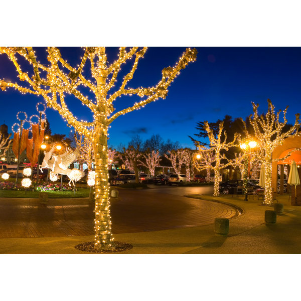 100 Solar Light String Lighting by The Holiday Aisle