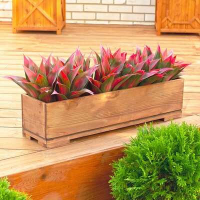 Wood Planters You'll Love in 2020 | Wayfair