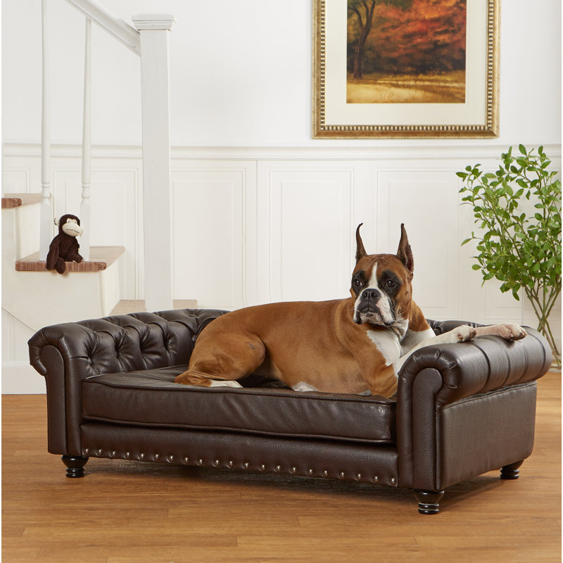Archie Oscar Cornelia Dog Sofa With Solid Foam Cushion Wayfair Cornelia Dog Sofa With Solid Foam Cushion
