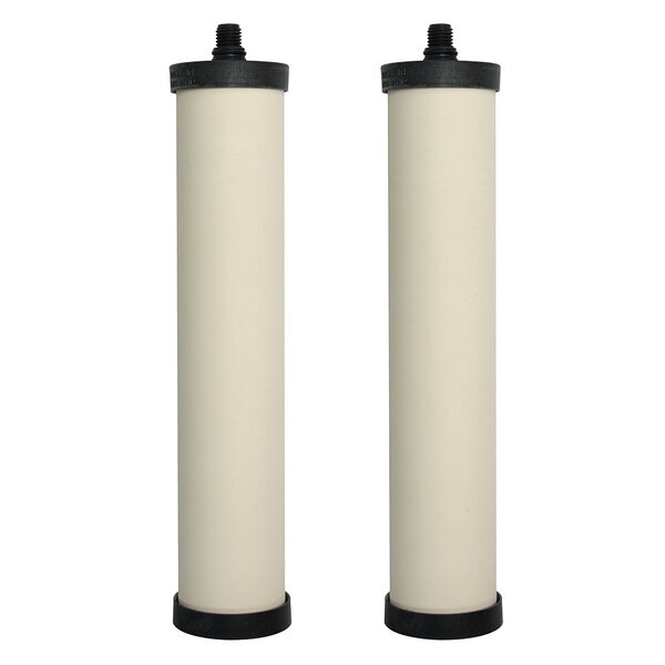 Under-sink Replacement Filter (Set of 2) by Franke